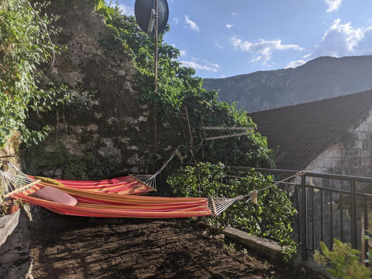 Best View! Rooftop With Garden - Old Town Nr404 Kotor Bagian luar foto